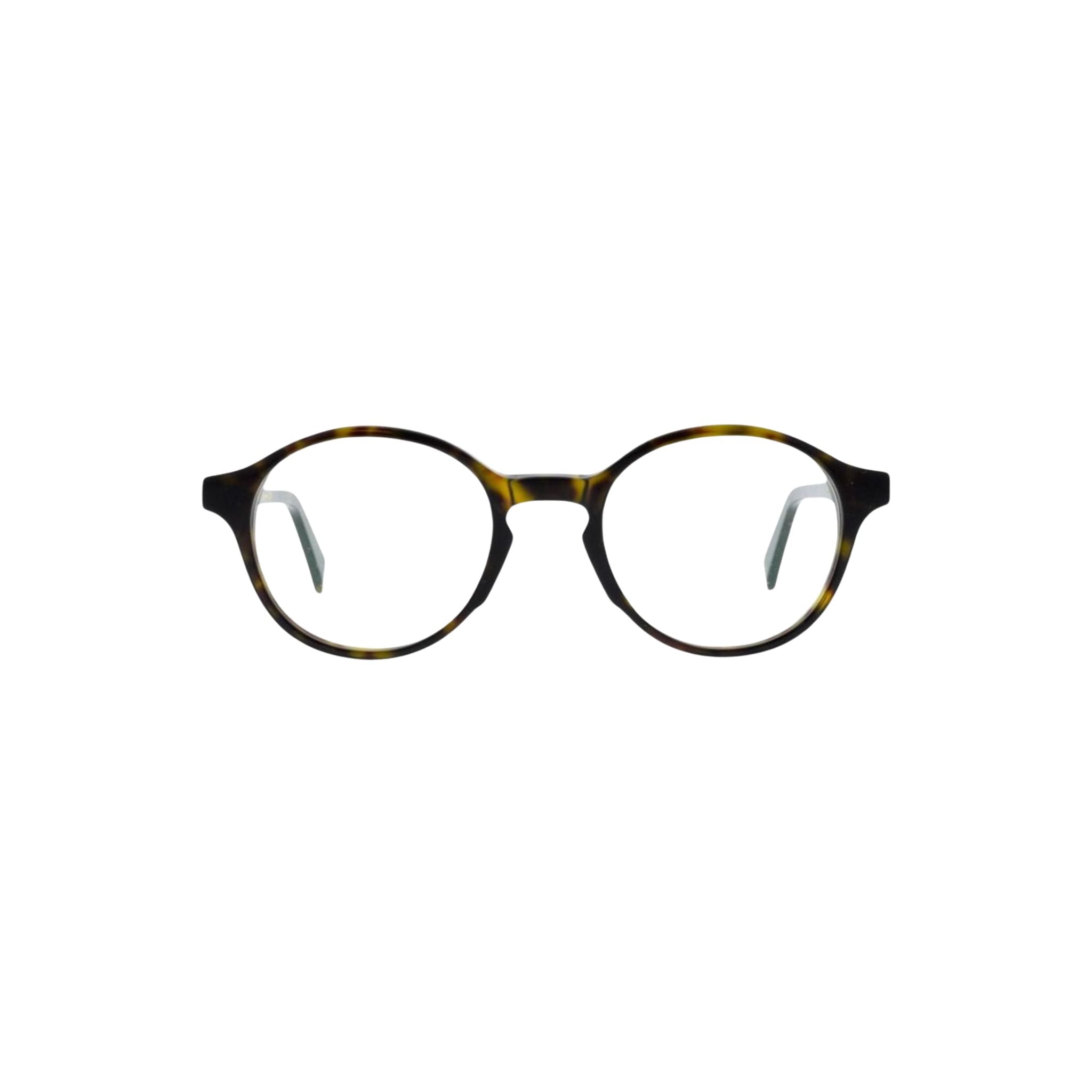 Colibris EMIL P 09 Havanna Tortoise Panto Brille Frontansicht Damenbrille kleine Gesichter Designerbrille München Optiker Optik Bartholomä Maxvorstadt