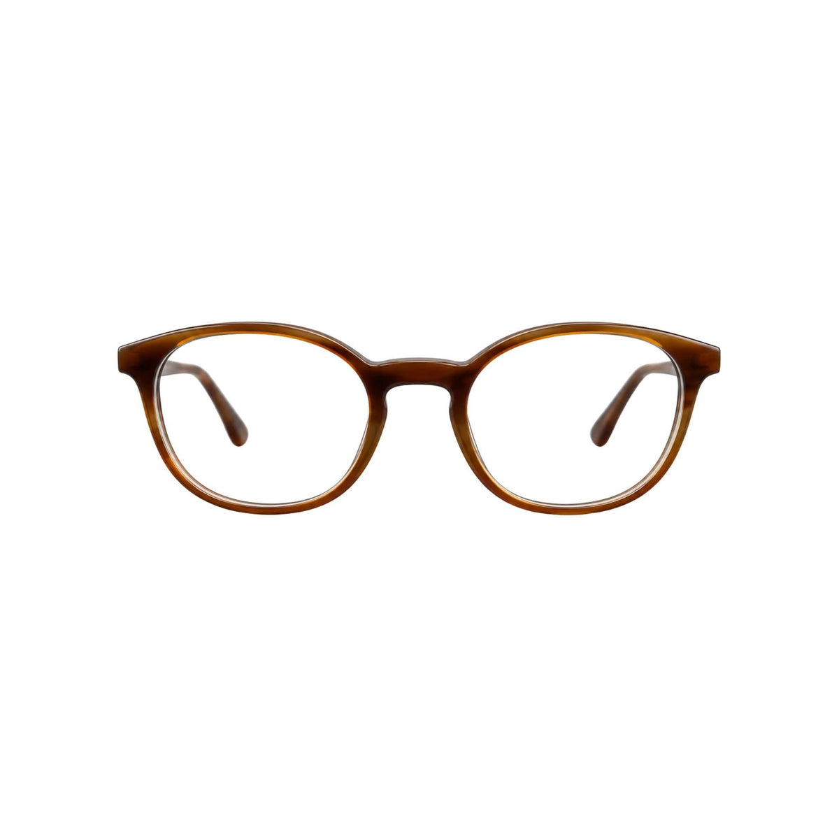 Hoffmann Natural Eyewear 2307 H40 Brille Frontansicht Panto Naturhorn Braun Honig BRILLEN SCHNEIDER München