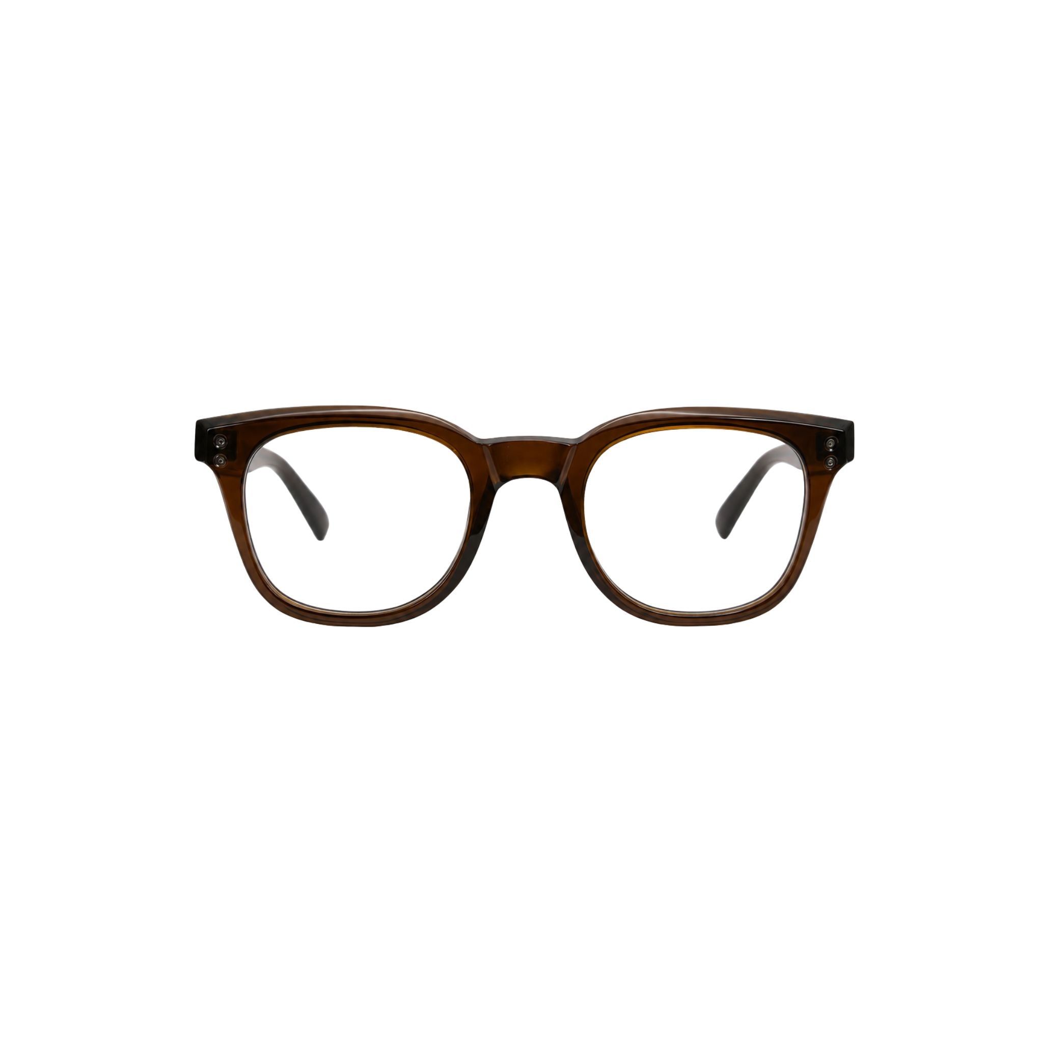 Pagani Eyewear P12 Brown Frontansicht weich rechteckige Acetatbrille in transparentem Braun