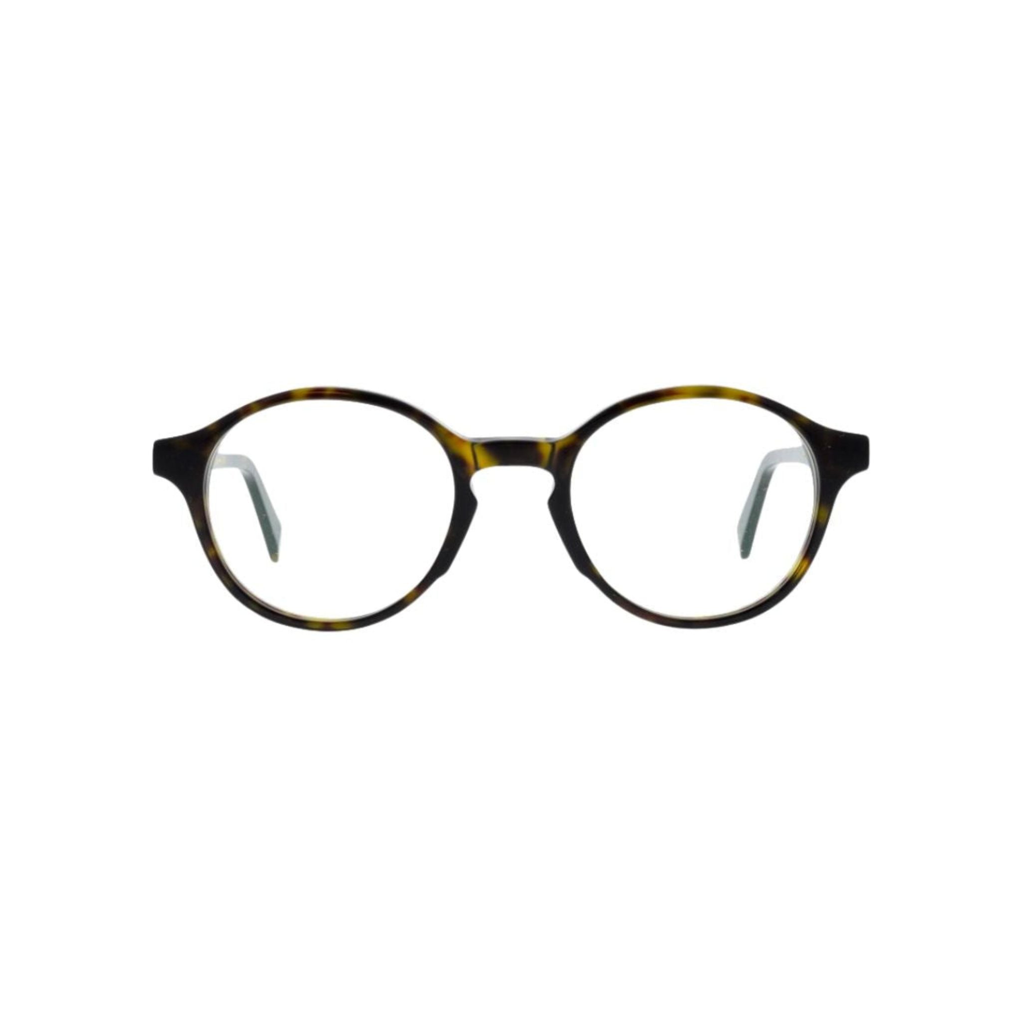 Colibris EMIL P 09 Havanna Tortoise Panto Brille Frontansicht Damenbrille kleine Gesichter Designerbrille München Optiker Optik Bartholomä Maxvorstadt