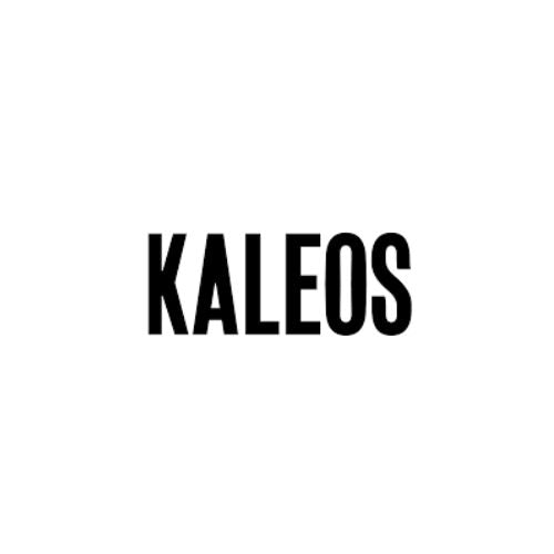 Kaleos Eyehunters Brillen, jetzt bei Optik Bartholomä in München, trendige Designs mit einzigartigen Akzenten.