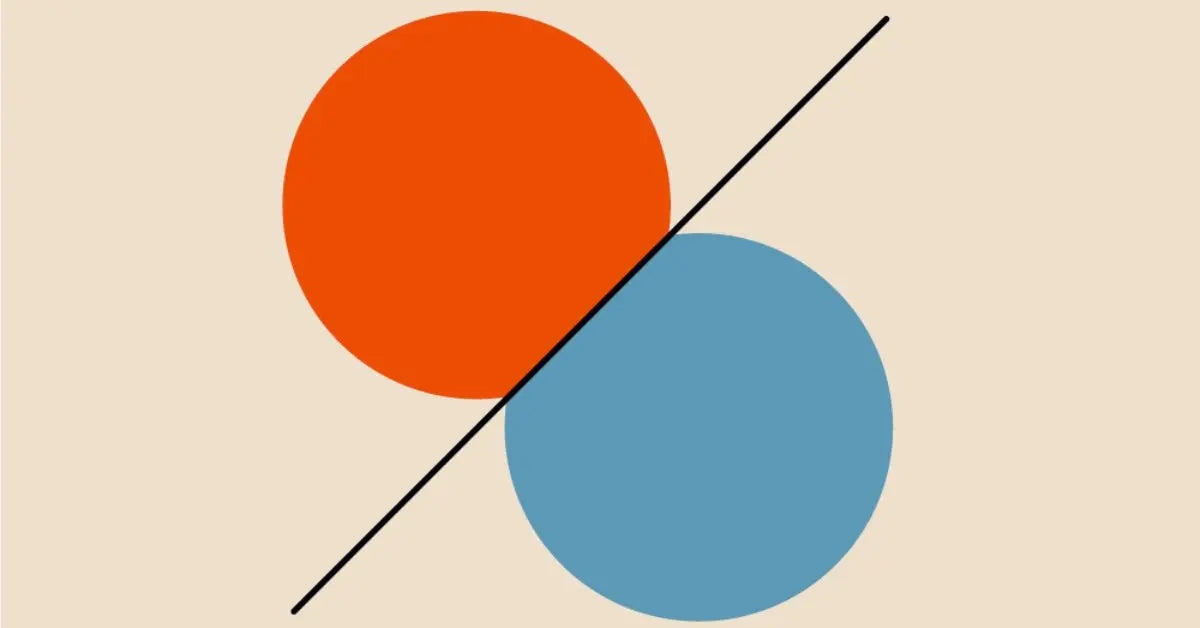 Logo von Brillen Schneider & Optik Bartholomä in München-Maxvorstadt – Ihr Optiker für Brillen, Sonnenbrillen und Gleitsicht.