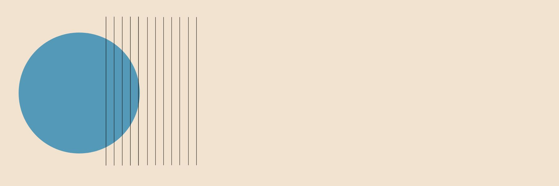 Banner zu Monatslinsen bei Brillen Schneider in München – Ihr Optiker für Kontaktlinsen, individuelle Anpassung und präzises Sehen.